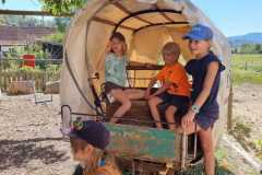 IMG-20220812-WA0020