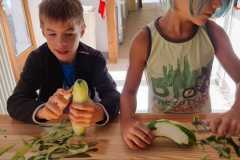 IMG-20220812-WA0026