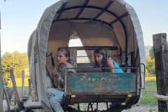 IMG-20220812-WA0032