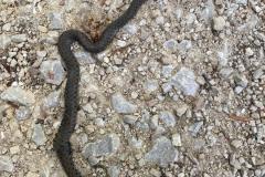 WhatsApp-Image-2026-08-05-at-22.38.12