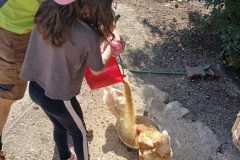 WhatsApp-Image-2026-07-09-at-14.03.39-5