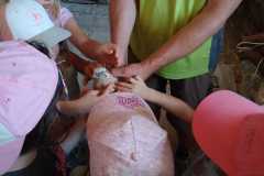 WhatsApp-Image-2026-07-09-at-14.03.40-3