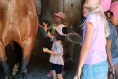 WhatsApp-Image-2026-07-09-at-14.03.43