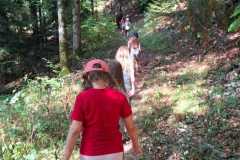 WhatsApp-Image-2026-08-13-at-13.03.41-4