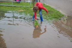 DSCN7894