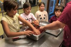 WhatsApp-Image-2025-10-15-at-21.45.31