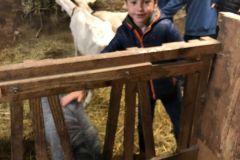 WhatsApp-Image-2025-10-15-at-21.45.33