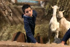 WhatsApp-Image-2025-10-15-at-21.45.34