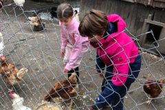 WhatsApp-Image-2025-10-16-at-10.22.54-3