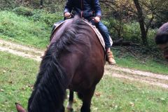 WhatsApp-Image-2025-10-16-at-10.22.54