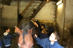 WhatsApp-Image-2025-10-16-at-10.22.55-1