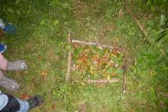 DSCN9203