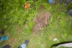 DSCN9204