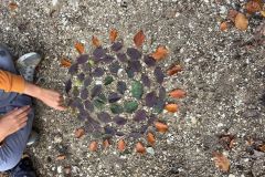 WhatsApp-Image-2025-10-21-at-15.15.45-2