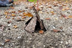 WhatsApp-Image-2025-10-21-at-15.15.45