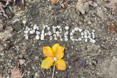 WhatsApp-Image-2025-10-21-at-15.15.46-1