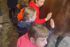 WhatsApp-Image-2025-10-22-at-10.13.11-2