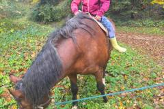 WhatsApp-Image-2025-10-22-at-10.36.37